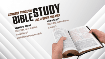 Weekly Bible Studies for Women and Men