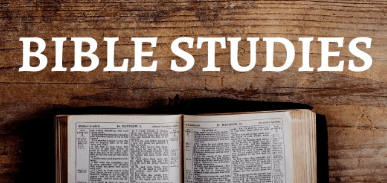 Weekly Bible Studies for Women and Men